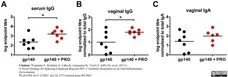 Anti Mouse IgG (Fc) Antibody gallery image 2