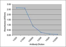 Anti Mouse IgG (Human Adsorbed) Antibody gallery image 1