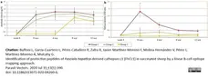 Anti Mouse IgG (Human Adsorbed) Antibody gallery image 5