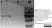 Anti Mouse IgG (Human Adsorbed) Antibody thumbnail image 6