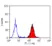 Anti Mouse IgG (Rat Adsorbed) Ab - FITC thumbnail image 1