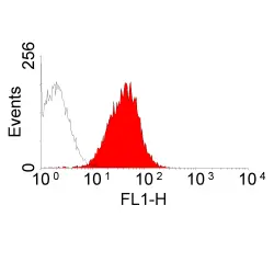 Anti Mouse IgG (Rat Adsorbed) Ab - FITC gallery image 2