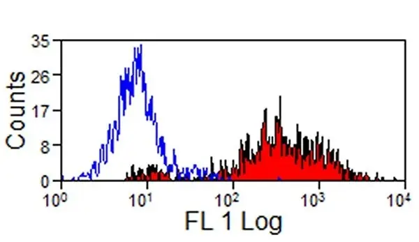 Anti Mouse IgG (Rat Adsorbed) Ab - FITC gallery image 3