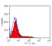 Anti Mouse IgG (Rat Adsorbed) Ab - FITC thumbnail image 6