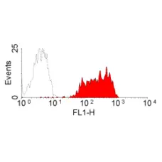 Anti Mouse IgG Antibody - FITC gallery image 2