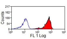 Anti Mouse IgG Antibody - FITC gallery image 4