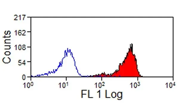 Anti Mouse IgG Antibody - FITC gallery image 4
