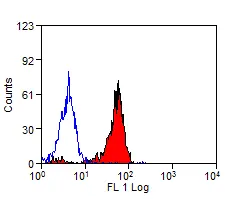 Anti Mouse IgG Antibody - FITC gallery image 9