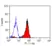 Anti Mouse IgG Antibody - FITC thumbnail image 9