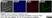 Anti Mouse IgG1 Antibody - 0.5mg thumbnail image 10