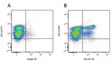 Anti Mouse IgG1 Antibody - 0.5mg gallery image 14
