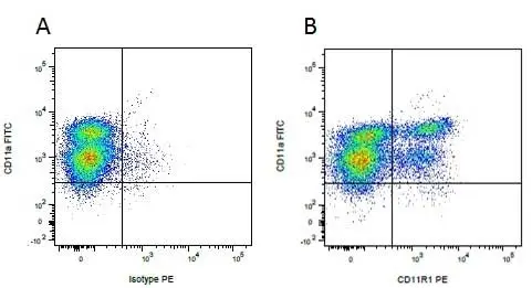 Anti Mouse IgG1 Antibody - 0.5mg gallery image 14