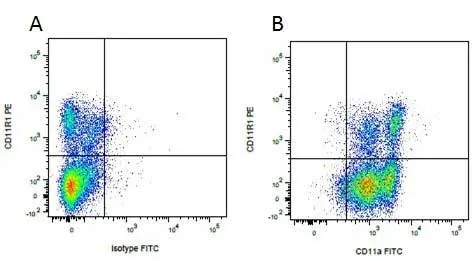 Anti Mouse IgG1 Antibody - 0.5mg gallery image 15