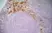 Anti Mouse IgG1 Antibody - 0.5mg thumbnail image 4