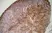 Anti Mouse IgG1 Antibody - 0.5mg thumbnail image 6