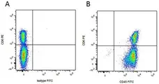  Anti Mouse IgG2a Antibody  gallery image 1
