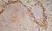  Anti Mouse IgG2a Antibody  thumbnail image 5