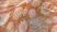  Anti Mouse IgG2a Antibody  thumbnail image 7