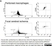 Anti Mouse Interleukin-1 beta Antibody thumbnail image 1