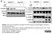 Anti RIP3 Antibody thumbnail image 3