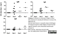 Anti Pig IgA Antibody gallery image 1