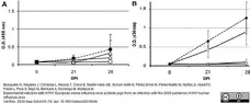 Anti Pig IgA Antibody gallery image 4