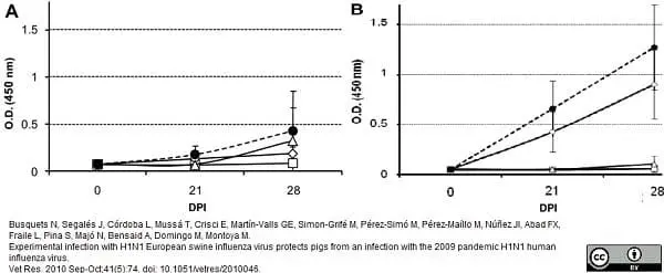 Anti Pig IgA Antibody gallery image 4