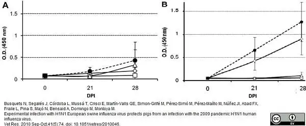 Anti Pig IgG (Fc) Antibody gallery image 4