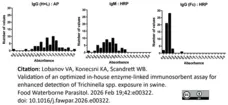 Anti Pig IgG (Fc) Antibody gallery image 9