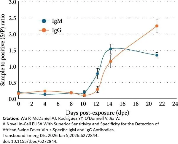 Anti Pig IgM Antibody gallery image 4