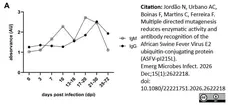 Anti Pig IgM Antibody gallery image 5