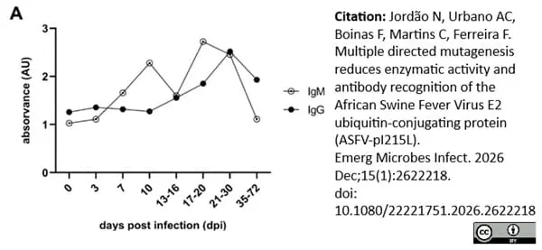 Anti Pig IgM Antibody gallery image 5
