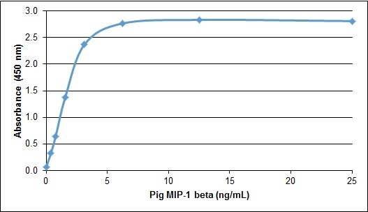 Anti Pig MIP-1 Beta Antibody gallery image 1
