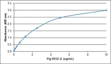 Anti Pig VEGF-A Antibody gallery image 1