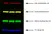 Goat ANTI-RABBIT IgG StarBright™ Blue 520 Antibody thumbnail image 3