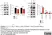 Goat anti Rabbit IgG (Fc) Antibody thumbnail image 1