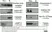 Gt Anti Rabbit IgG (H/L) Ab - HRP - 2mg thumbnail image 2