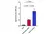 Gt Anti Rabbit IgG (H/L) Ab - HRP - 2mg thumbnail image 3