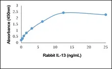 Anti Rabbit Interleukin-13 Antibody gallery image 1