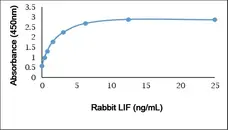 Anti Rabbit Leukemia Inhibitory Factor Antibody gallery image 1