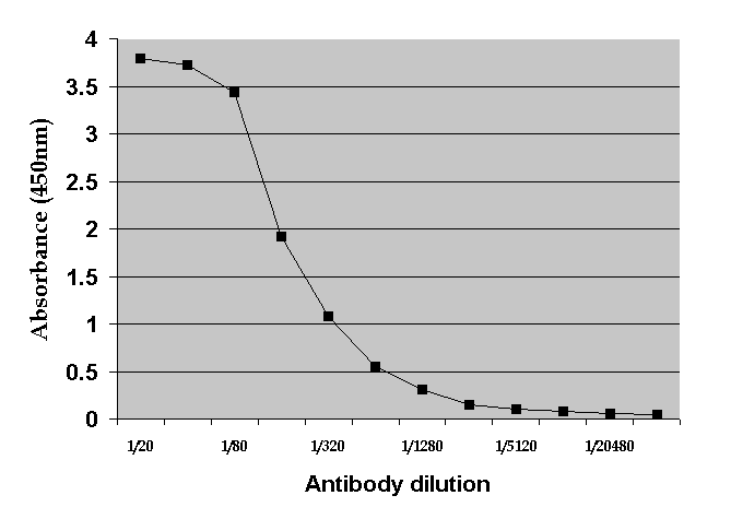 Anti Rat Albumin Antibody gallery image 1