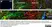 Anti Rat Albumin Antibody thumbnail image 2