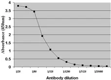 Anti Rat Albumin Antibody gallery image 4