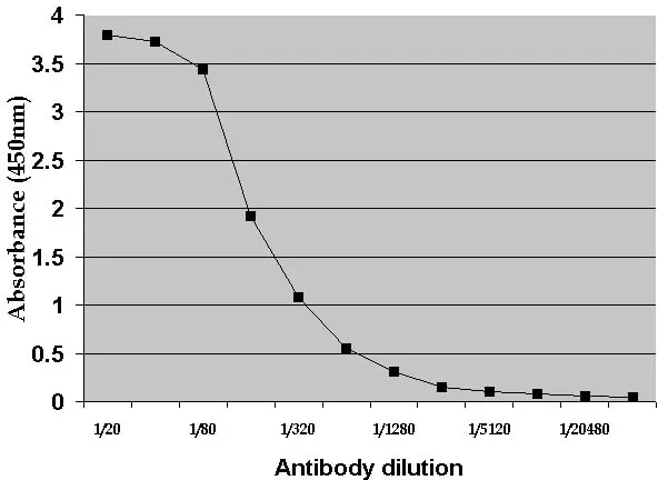 Anti Rat Albumin Antibody gallery image 4