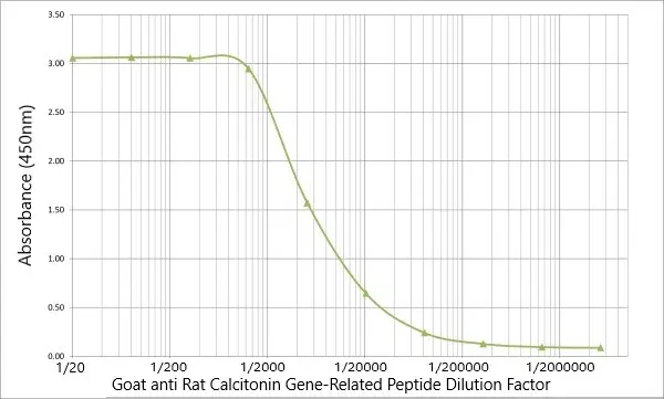 Anti Rat Calcitonin Gene-Related Peptide Antibody gallery image 8