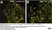 Anti Rat Calcitonin Gene-Related Peptide Antibody thumbnail image 9