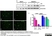 Rabbit F(ab')2 anti Rat IgG Antibody - HRP thumbnail image 1