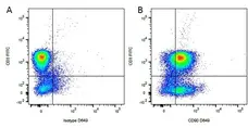Anti Rat IgG (Mouse Adsorbed) Antibody gallery image 2