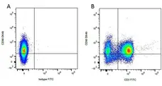 Anti Rat IgG (Mouse Adsorbed) Antibody gallery image 3