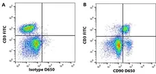 Anti Rat IgG (Mouse Adsorbed) Antibody gallery image 4